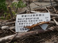 img (132)